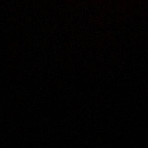 Meet your Posher, Larry